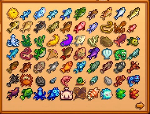 星露谷物语鱿鱼什么