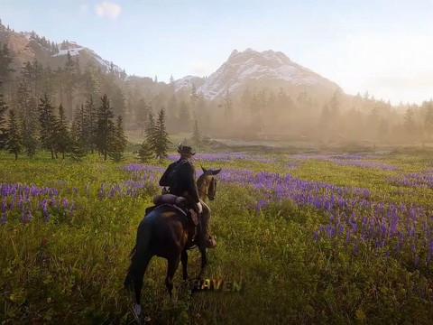 如何单机启动荒野大镖客