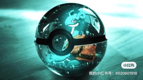 真的神奇宝贝球怎么做