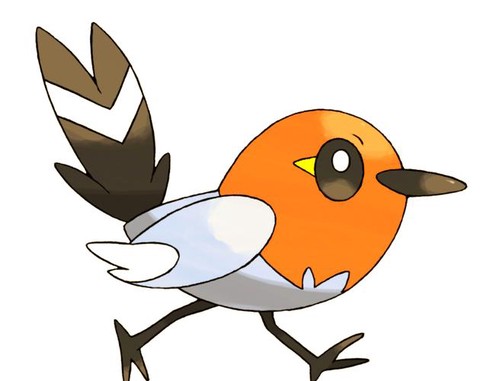 口袋妖怪家门鸟是什么[图1]