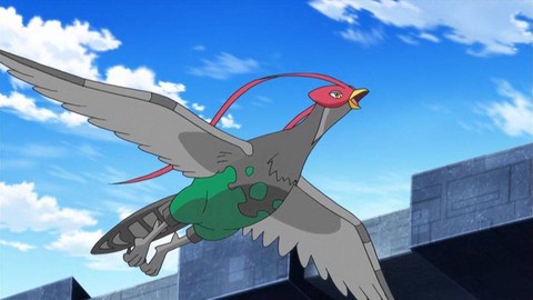 口袋妖怪家门鸟是什么[图2]